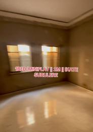 1 bedroom Mini Flat For Rent Itire-Ikate Surulere Lagos