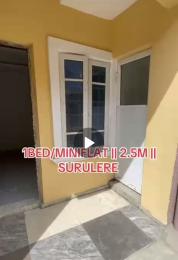 1 bedroom Mini Flat For Rent Lawanson Surulere Lagos