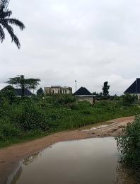 Mixed use Land For Sale Eneka Army Range Eneka Port Harcourt Rivers