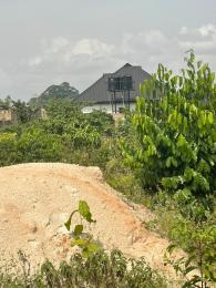 Mixed use Land For Sale Obe N Evbueribo Community Town Hall. Benin Edo