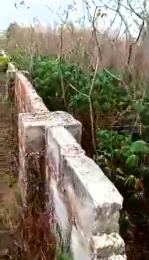 Mixed use Land For Sale Ikpe Community Along Benin Abraka Road. Benin City.edo State. Benin Edo