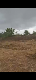 Mixed use Land For Sale Ifesowapa Via Akute Agbado Ifo Ogun