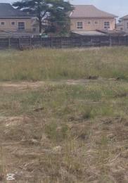 Land For Sale Chevron Drive Lekki Lagos