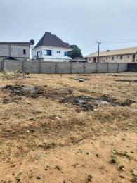 Mixed use Land For Sale Tbs Lagos Island  Mixed use Land For Sale Tbs Lagos Island