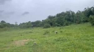 Residential Land For Sale Eminent City Estate Moniya Ibadan Marketed By Property Links Global Ibadan Oyo Residential Land For Sale Eminent City Estate Moniya Ibadan Marketed By Property Links Global Ibadan Oyo
