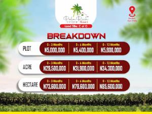 Commercial Land For Sale Palm Tree Investment At Iwo Road Ibadan Oyo Commercial Land For Sale Palm Tree Investment At Iwo Road Ibadan Oyo
