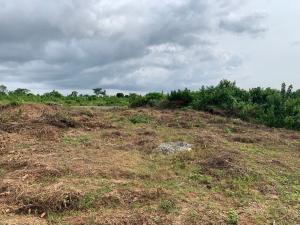 Residential Land For Sale Royal Park Estate Located At Obada Selling Fast Abeokuta Ogun