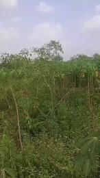 Residential Land For Sale Ajure Egbeda, Ajoda New Town Housing Estate, Egbeda Local Government Area, Ibadan Egbeda(ibadan) Oyo