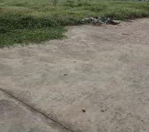 Land For Sale Zone J, Banana Island Ikoyi Lagos Land For Sale Zone J, Banana Island Ikoyi Lagos