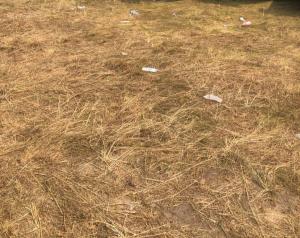 Land For Sale Zone J, Banana Island Ikoyi Lagos Land For Sale Zone J, Banana Island Ikoyi Lagos