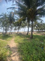 Land For Sale Facing The Express Road By Dangote Refinery Eleko Ibeju-Lekki Lagos