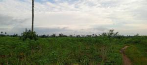 Commercial Land For Sale Wonder Land Few Minutes Drive From Epe Toll Gate, Iloti, Ogun State Ogun area  Commercial Land For Sale Wonder Land Few Minutes Drive From Epe Toll Gate, Iloti, Ogun State Ogun area