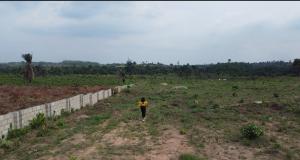 Mixed use Land For Sale Zenytal Gardens Elerangbe Ibeju Lekki Eleran Igbe Ibeju-Lekki Lagos